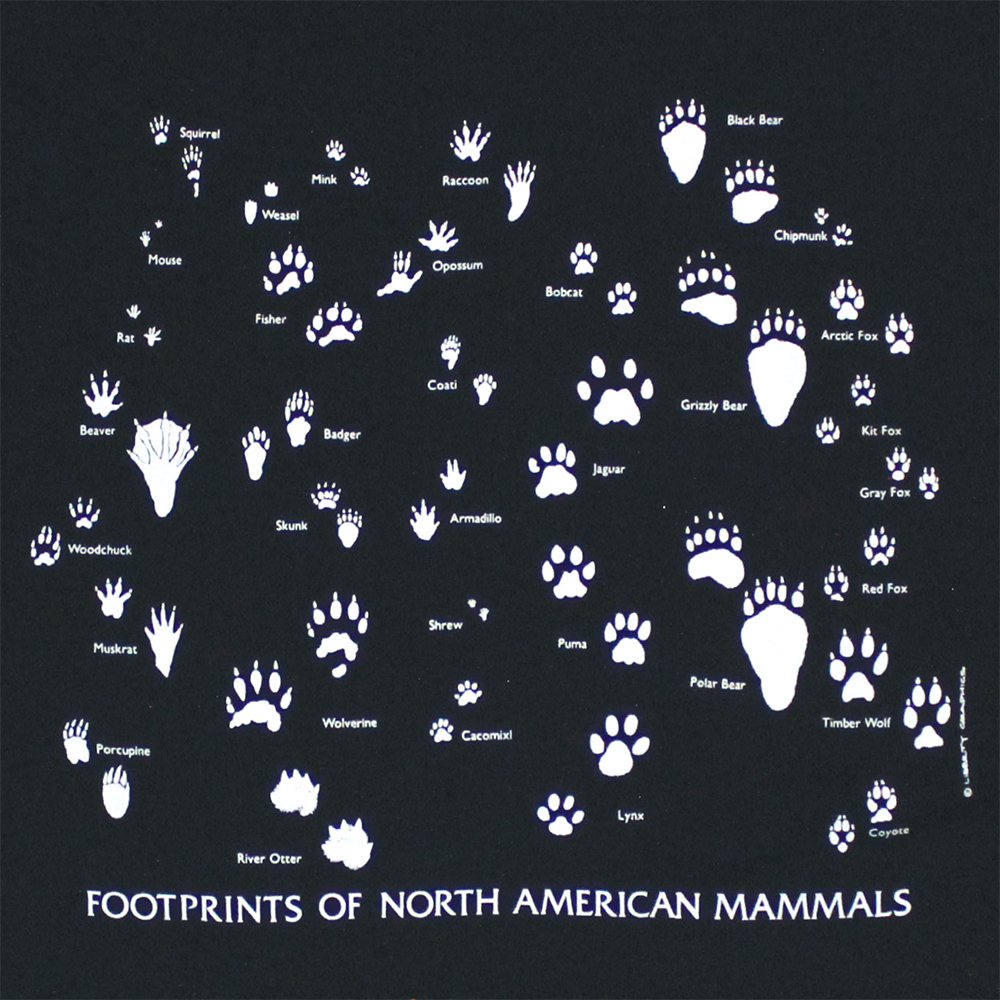 ノースアメリカの動物たちの足跡のTシャツ　お洒落なデザインTシャツ