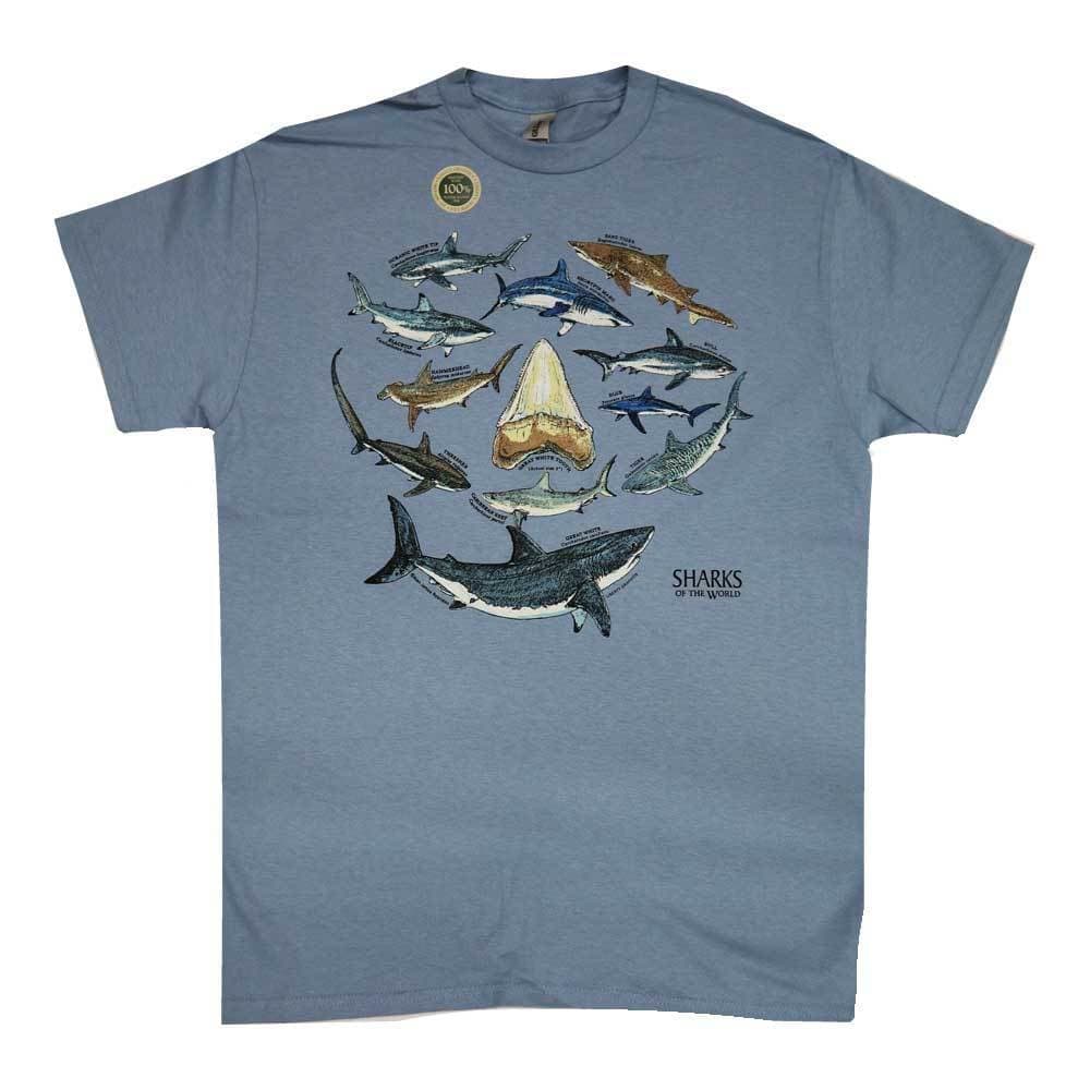 やぱっり亀のTシャツ　ハコガメが人気のリバティーグラフィックスの亀Tシャツ　人気商品です